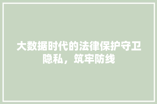 大数据时代的法律保护守卫隐私，筑牢防线