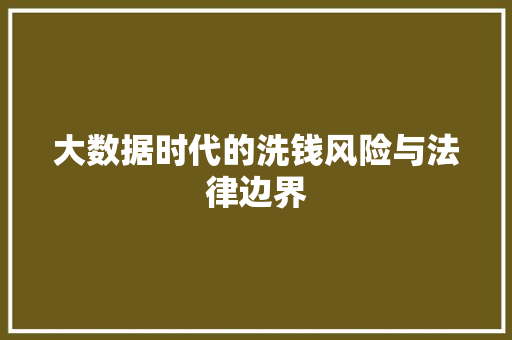 大数据时代的洗钱风险与法律边界