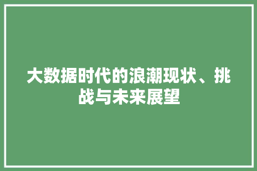 大数据时代的浪潮现状、挑战与未来展望