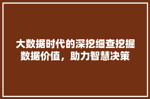 大数据时代的深挖细查挖掘数据价值，助力智慧决策