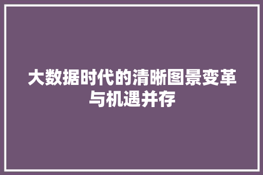 大数据时代的清晰图景变革与机遇并存