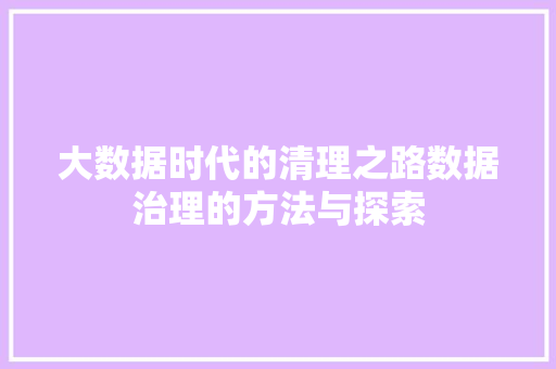大数据时代的清理之路数据治理的方法与探索