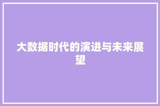 大数据时代的演进与未来展望