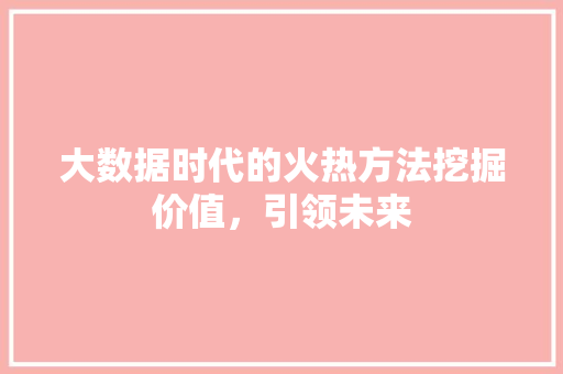 大数据时代的火热方法挖掘价值，引领未来