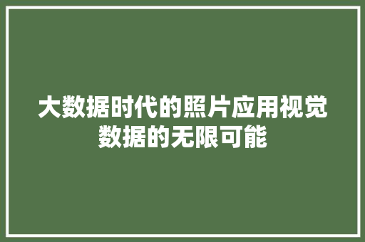 大数据时代的照片应用视觉数据的无限可能