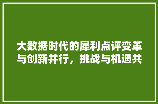 大数据时代的犀利点评变革与创新并行，挑战与机遇共存