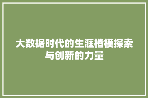 大数据时代的生涯楷模探索与创新的力量