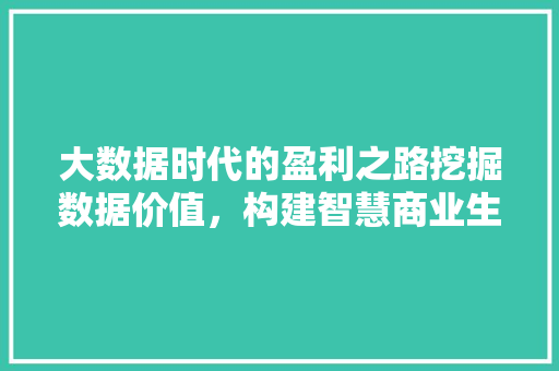 大数据时代的盈利之路挖掘数据价值，构建智慧商业生态