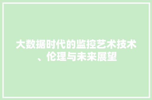 大数据时代的监控艺术技术、伦理与未来展望