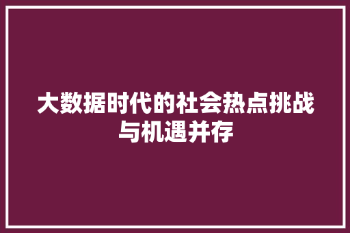 大数据时代的社会热点挑战与机遇并存