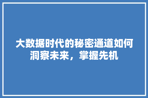 大数据时代的秘密通道如何洞察未来，掌握先机