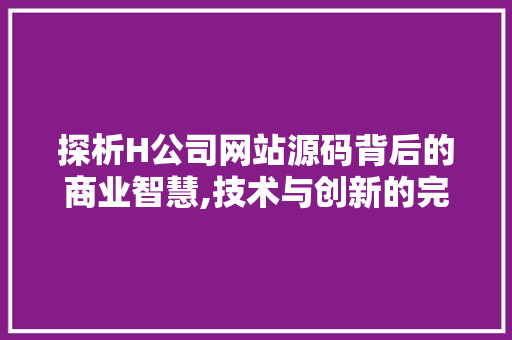 探析H公司网站源码背后的商业智慧,技术与创新的完美结合