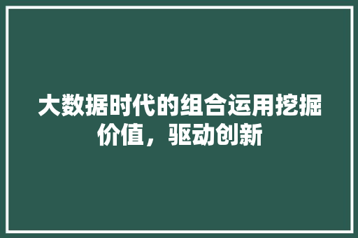 大数据时代的组合运用挖掘价值，驱动创新
