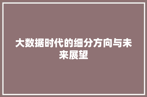 大数据时代的细分方向与未来展望