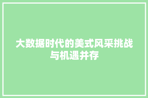 大数据时代的美式风采挑战与机遇并存