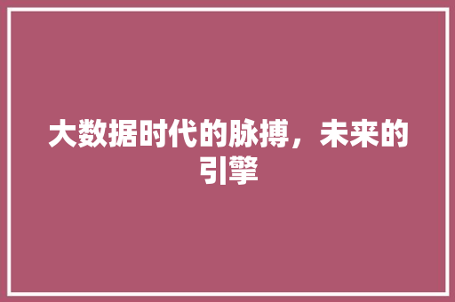大数据时代的脉搏，未来的引擎