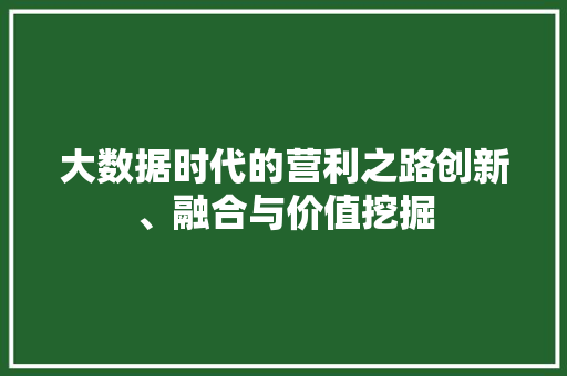 大数据时代的营利之路创新、融合与价值挖掘