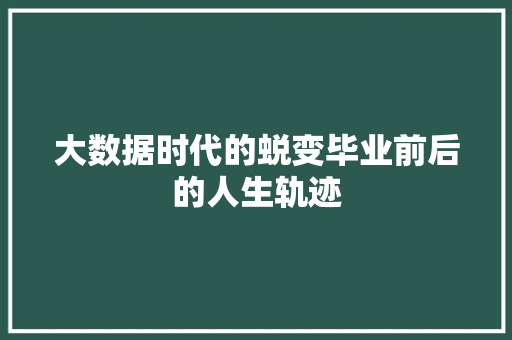 大数据时代的蜕变毕业前后的人生轨迹