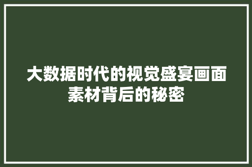 大数据时代的视觉盛宴画面素材背后的秘密