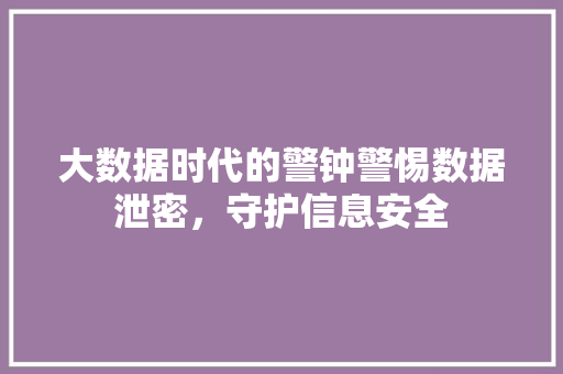 大数据时代的警钟警惕数据泄密，守护信息安全