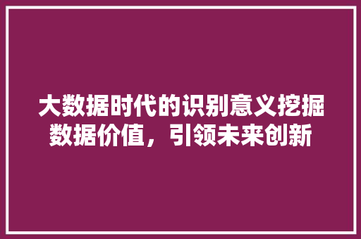 大数据时代的识别意义挖掘数据价值，引领未来创新