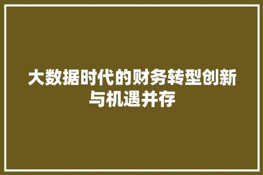 大数据时代的财务转型创新与机遇并存