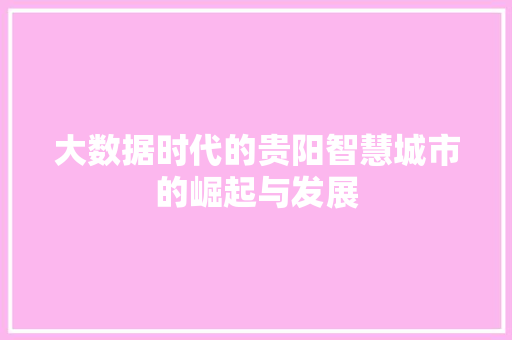大数据时代的贵阳智慧城市的崛起与发展