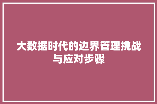 大数据时代的边界管理挑战与应对步骤