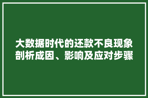 大数据时代的还款不良现象剖析成因、影响及应对步骤
