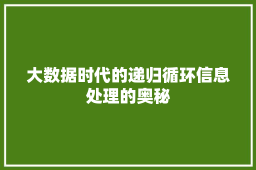 大数据时代的递归循环信息处理的奥秘
