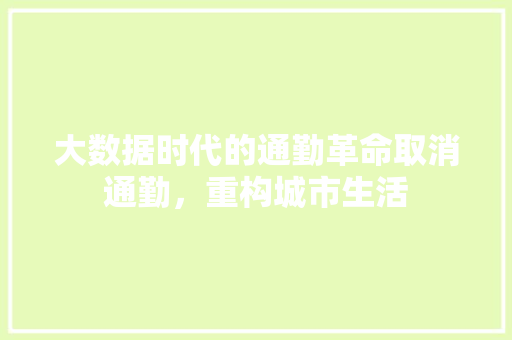 大数据时代的通勤革命取消通勤，重构城市生活