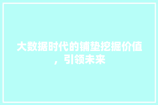 大数据时代的铺垫挖掘价值，引领未来