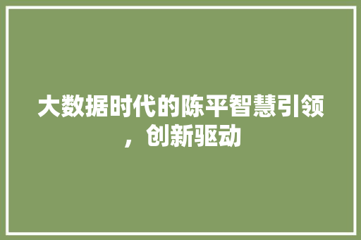 大数据时代的陈平智慧引领，创新驱动