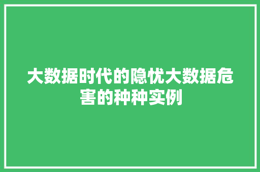 大数据时代的隐忧大数据危害的种种实例