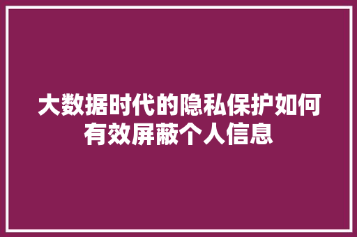 大数据时代的隐私保护如何有效屏蔽个人信息