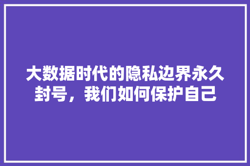 大数据时代的隐私边界永久封号，我们如何保护自己