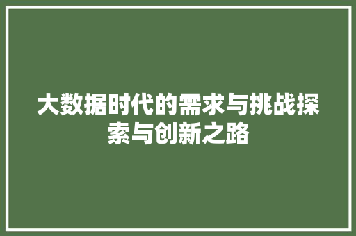 大数据时代的需求与挑战探索与创新之路