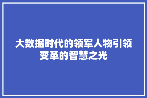大数据时代的领军人物引领变革的智慧之光
