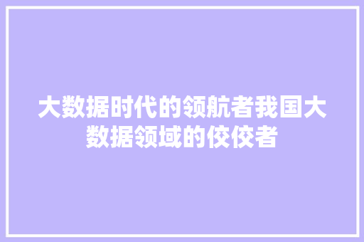 大数据时代的领航者我国大数据领域的佼佼者