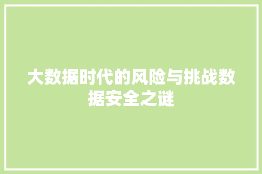 大数据时代的风险与挑战数据安全之谜
