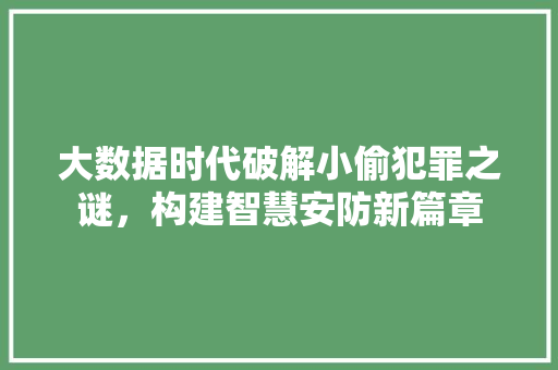 大数据时代破解小偷犯罪之谜，构建智慧安防新篇章