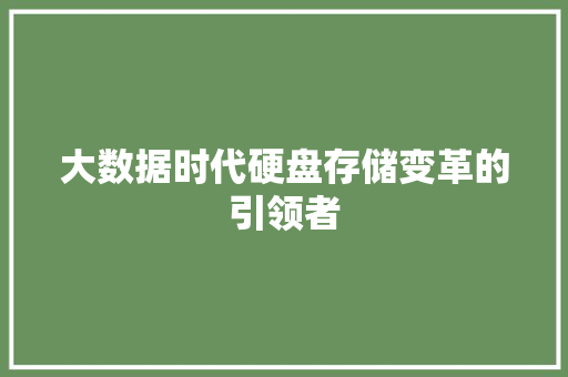 大数据时代硬盘存储变革的引领者