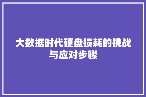 大数据时代硬盘损耗的挑战与应对步骤