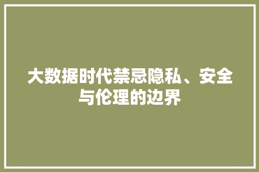 大数据时代禁忌隐私、安全与伦理的边界