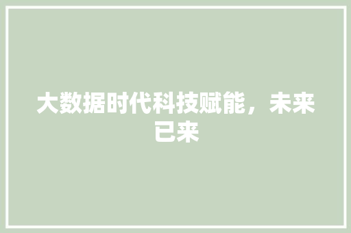 大数据时代科技赋能，未来已来