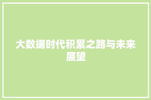 大数据时代积累之路与未来展望