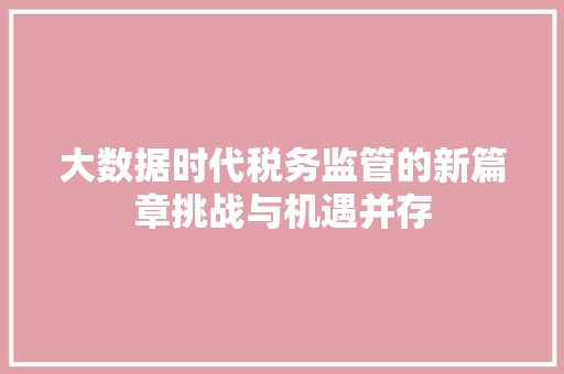 大数据时代税务监管的新篇章挑战与机遇并存