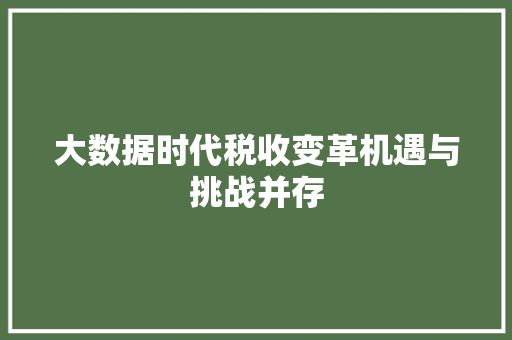 大数据时代税收变革机遇与挑战并存