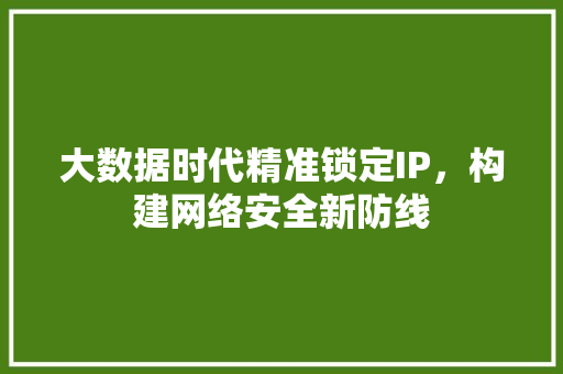 大数据时代精准锁定IP，构建网络安全新防线