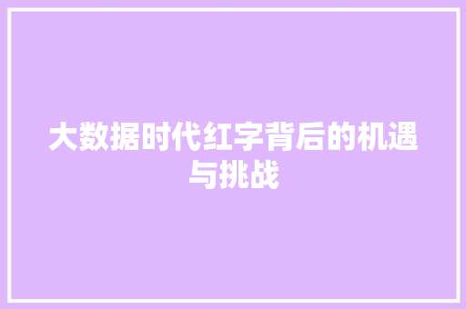 大数据时代红字背后的机遇与挑战